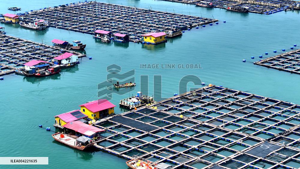 Baiji Bay Sea Ranch in Ningde