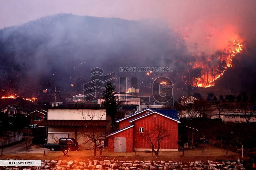 At Least 24 Dead as Wildfires Rage Across South Korea