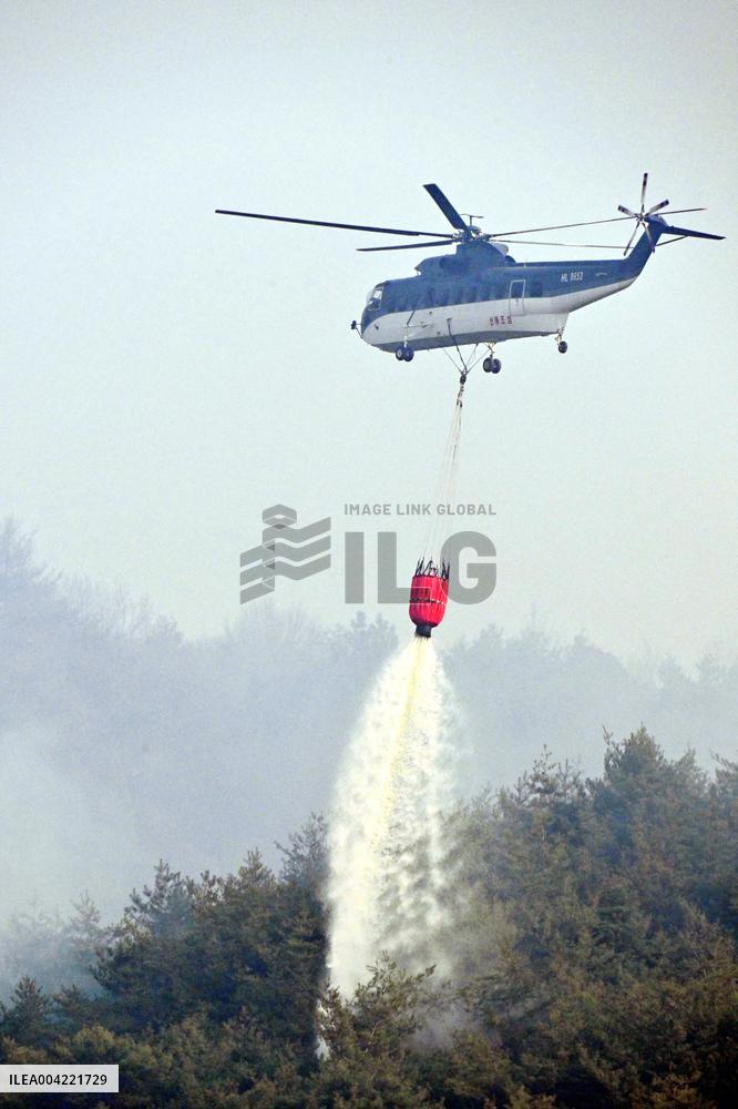 At Least 24 Dead as Wildfires Rage Across South Korea