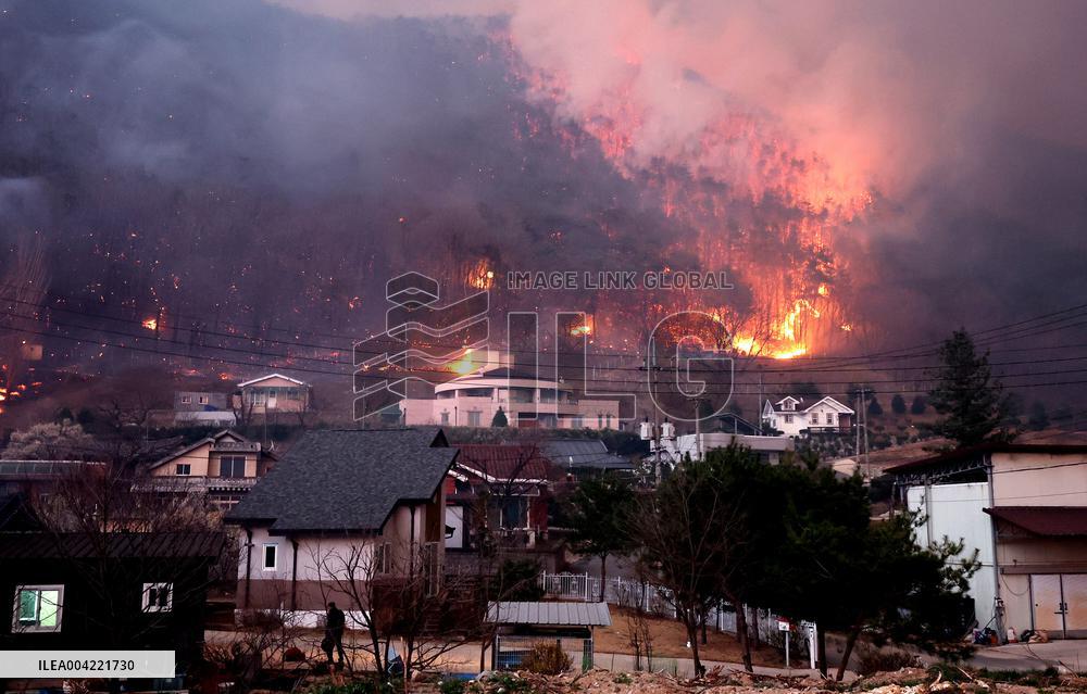 At Least 24 Dead as Wildfires Rage Across South Korea