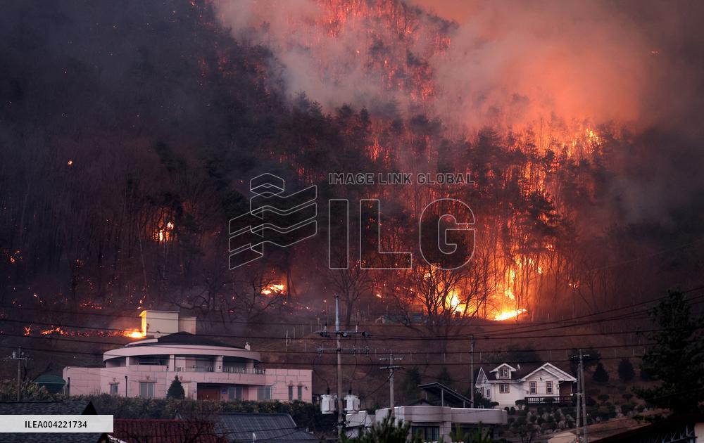 At Least 24 Dead as Wildfires Rage Across South Korea