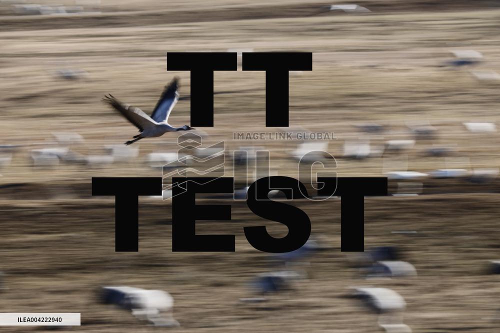 TT NEWS AGENCY TEST 3