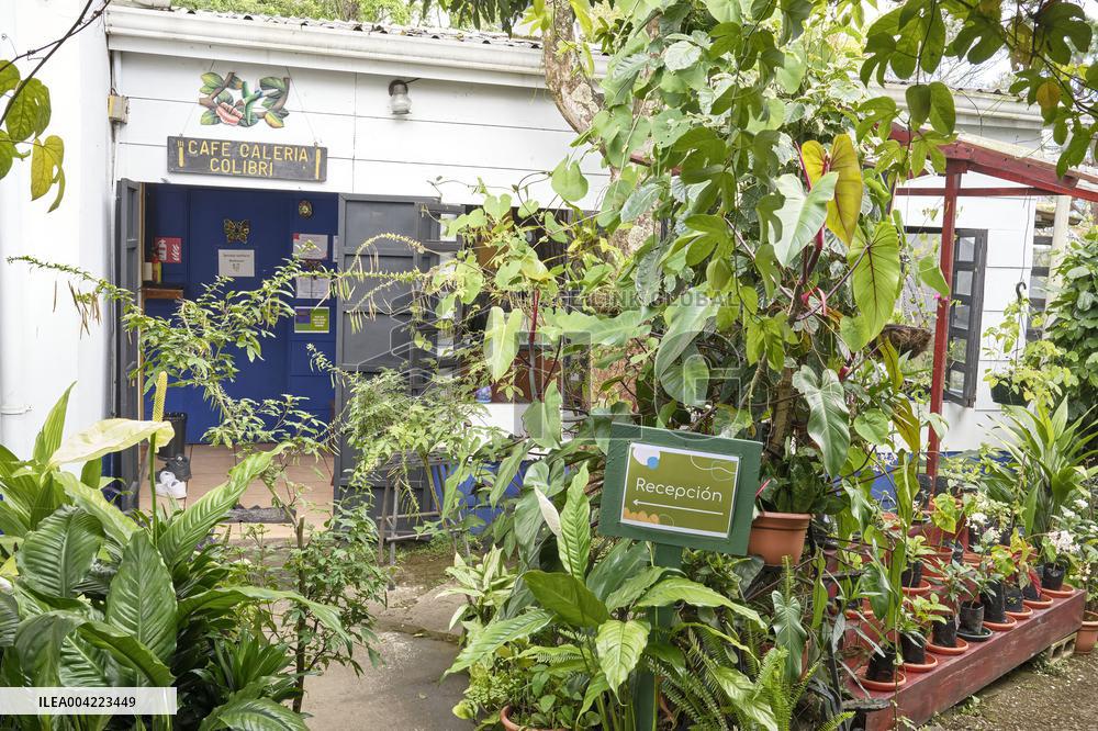 Spirogyra Butterfly Garden - Costa Rica