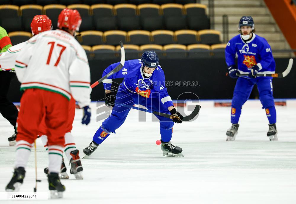 BANDY WORLD CHAMPIONSHIP 2025 FINLAND-HUNGARY