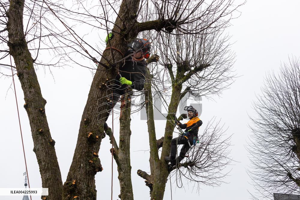 Urban greenery maintenance