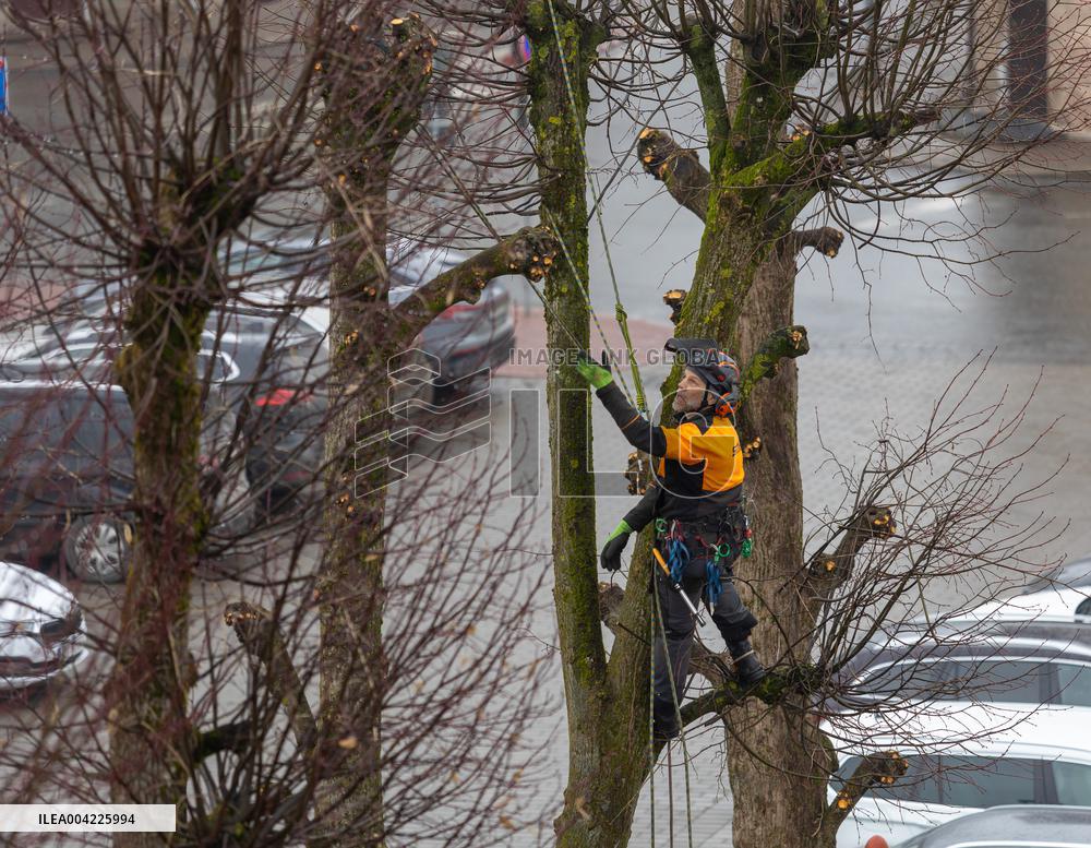 Urban greenery maintenance