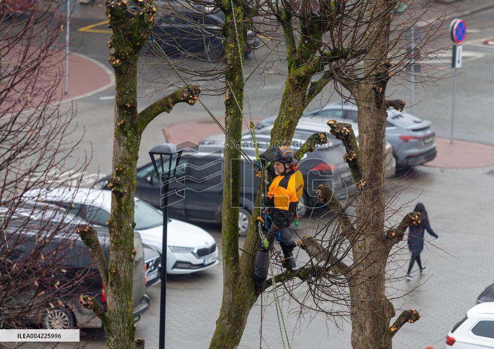 Urban greenery maintenance