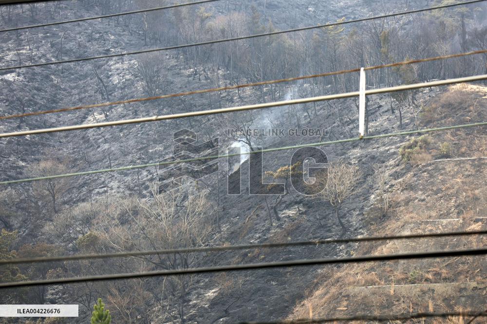Wildfire in western Japan