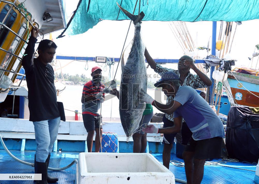Fishermen Daily Life - Sri Lanka