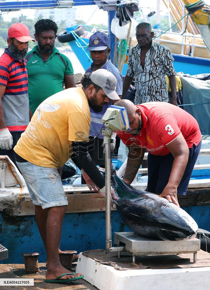 Fishermen Daily Life - Sri Lanka