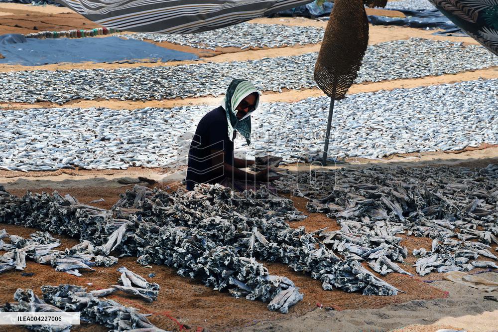 Fishermen Daily Life - Sri Lanka