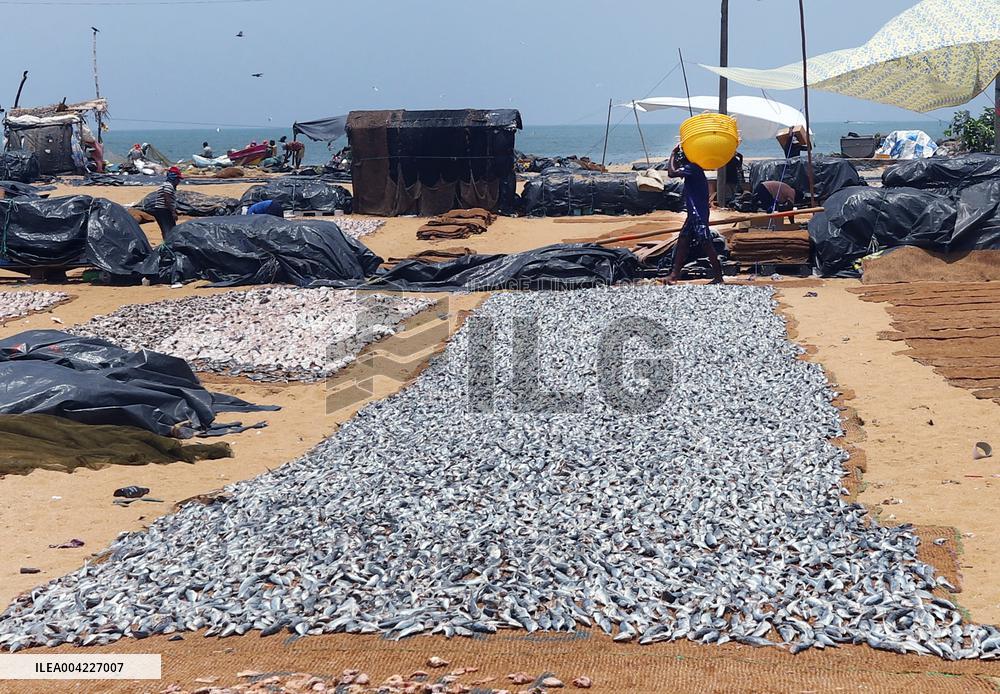 Fishermen Daily Life - Sri Lanka