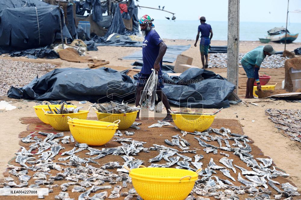 Fishermen Daily Life - Sri Lanka
