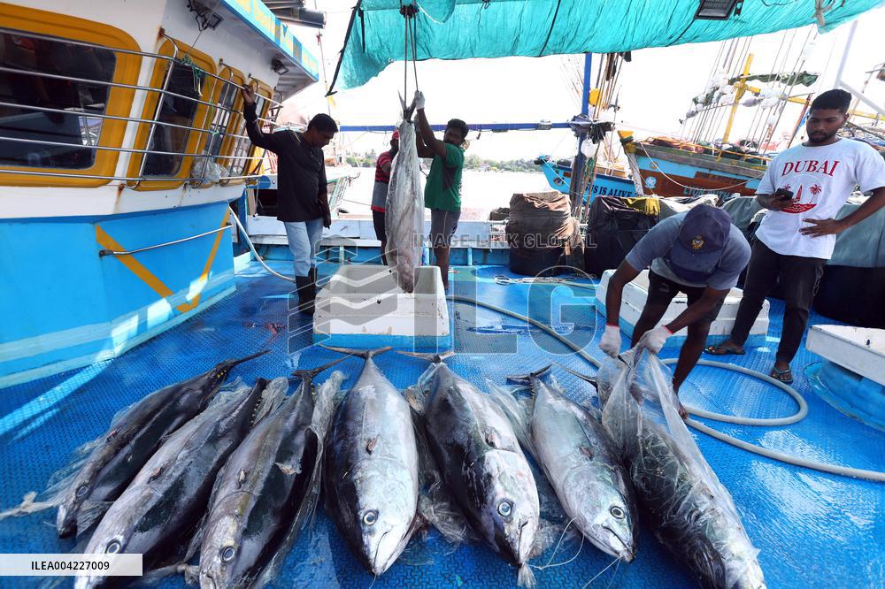 Fishermen Daily Life - Sri Lanka