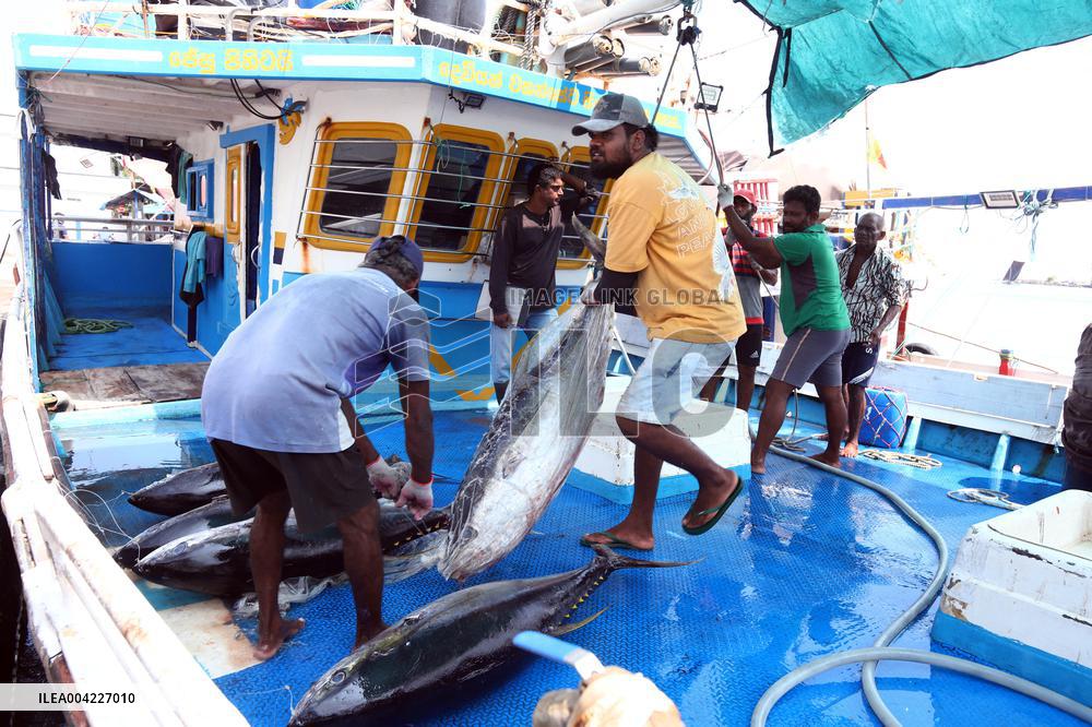 Fishermen Daily Life - Sri Lanka