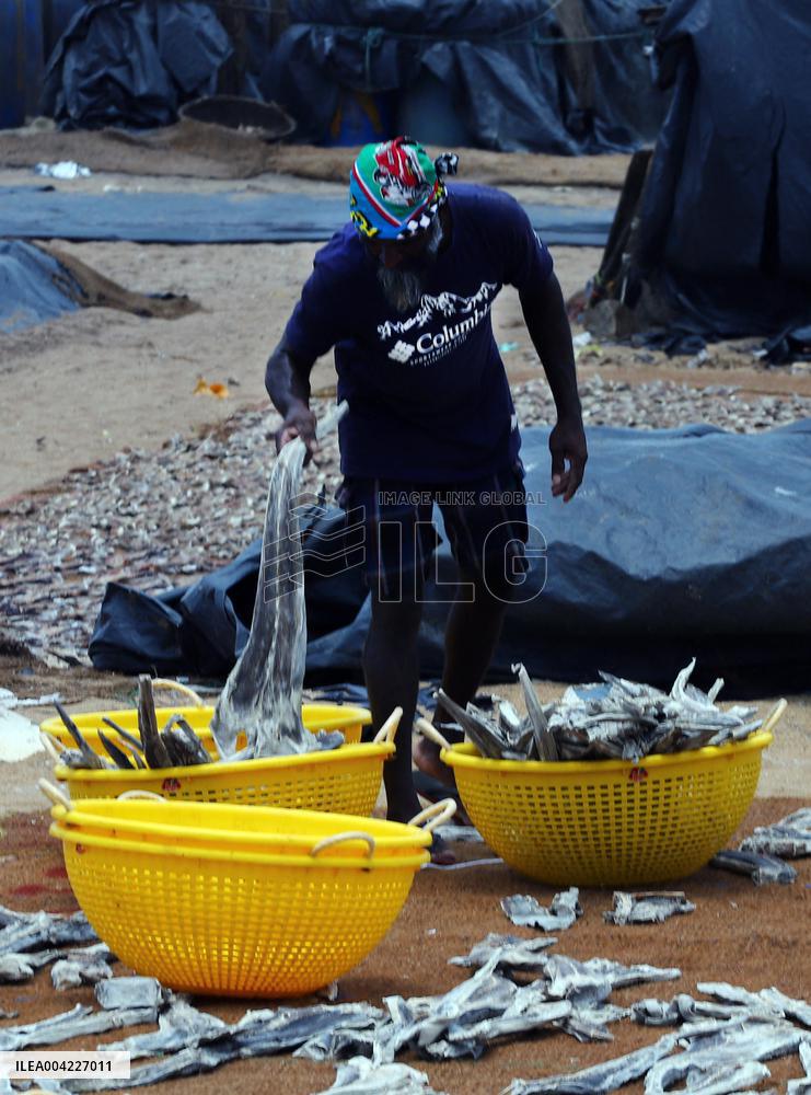 Fishermen Daily Life - Sri Lanka