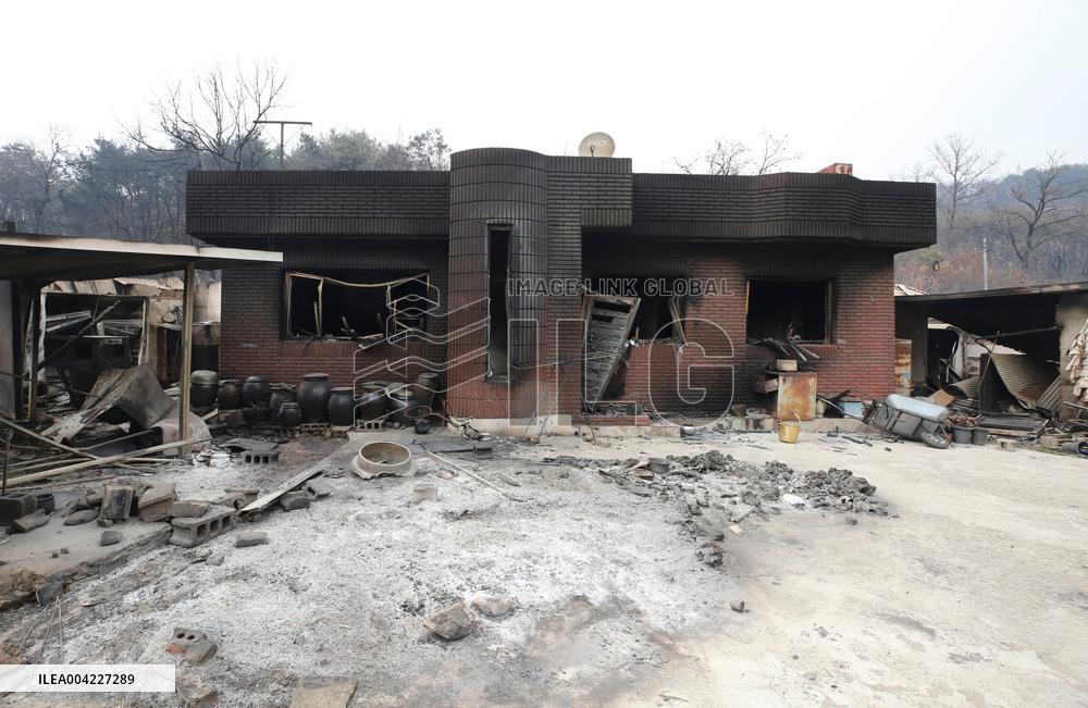 Wildfires Deathtoll - South Korea