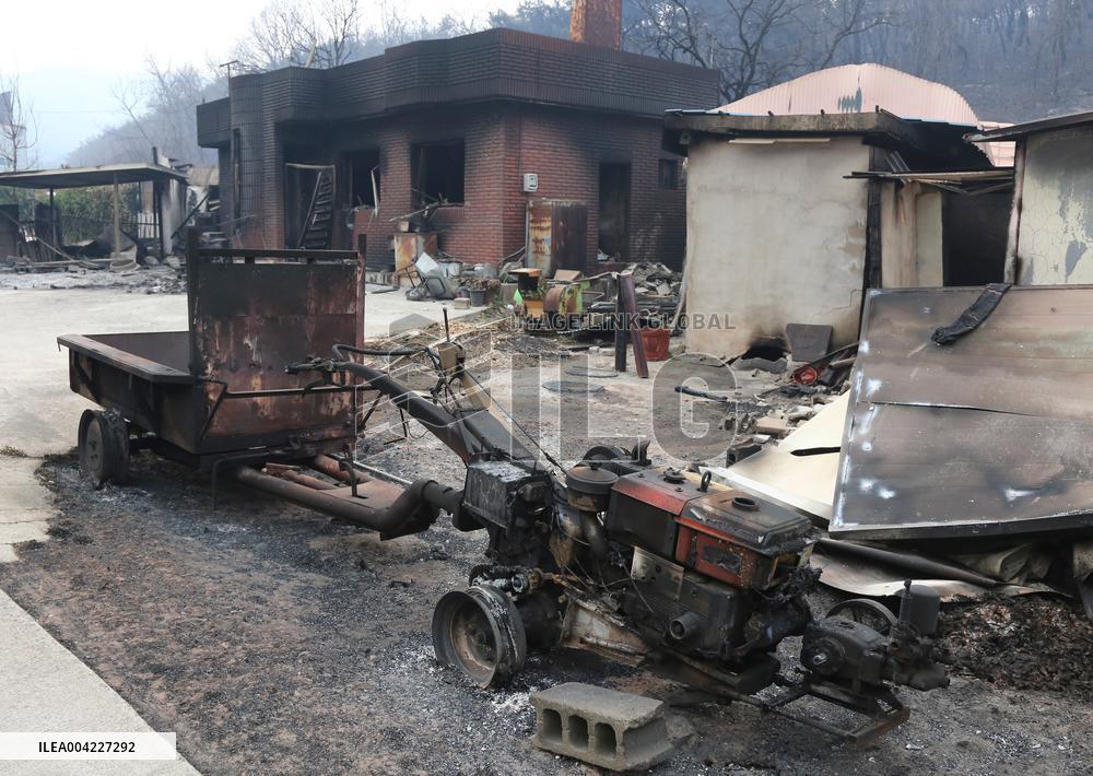 Wildfires Deathtoll - South Korea