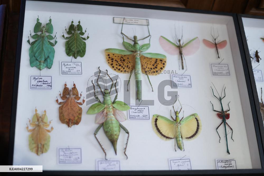 Opening Johnny Depp X Deyrolle In Paris