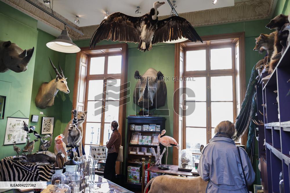 Opening Johnny Depp X Deyrolle In Paris