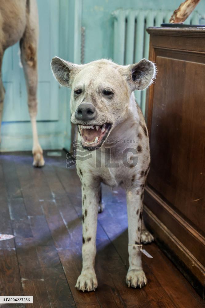 Opening Johnny Depp X Deyrolle In Paris