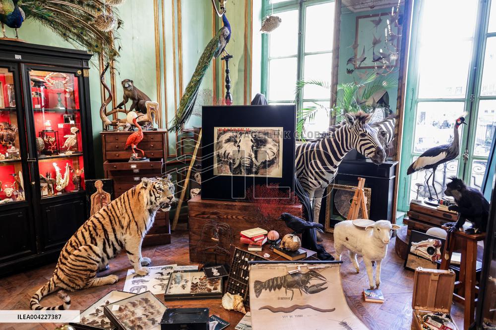 Opening Johnny Depp X Deyrolle In Paris