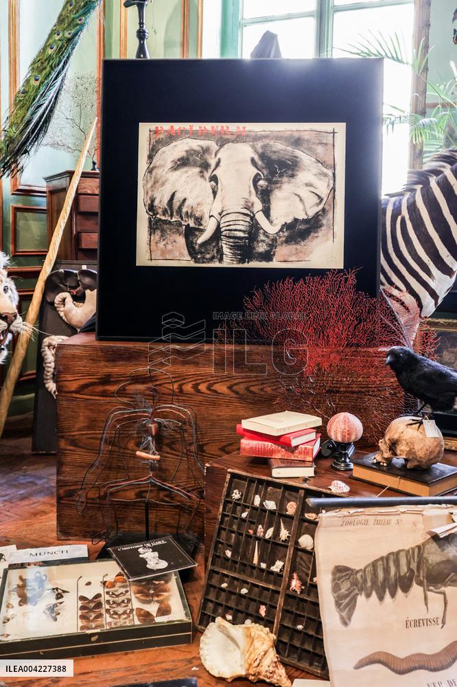 Opening Johnny Depp X Deyrolle In Paris