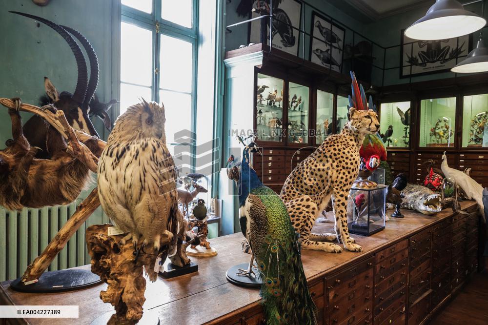 Opening Johnny Depp X Deyrolle In Paris