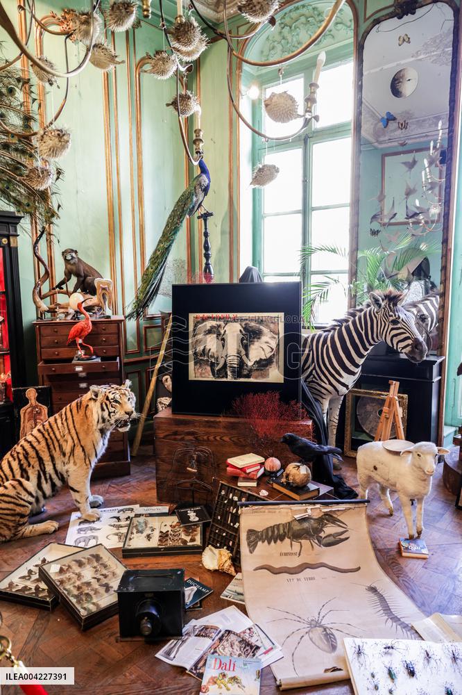 Opening Johnny Depp X Deyrolle In Paris