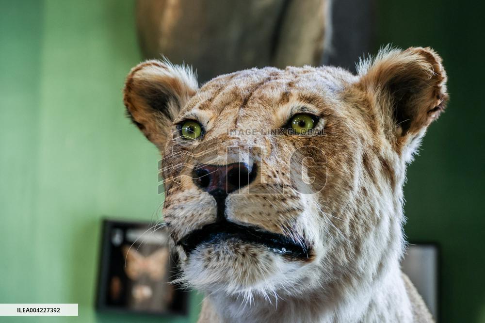 Opening Johnny Depp X Deyrolle In Paris