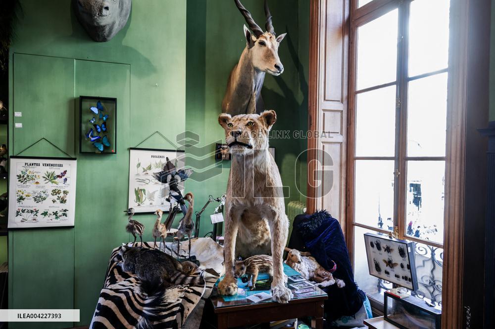 Opening Johnny Depp X Deyrolle In Paris