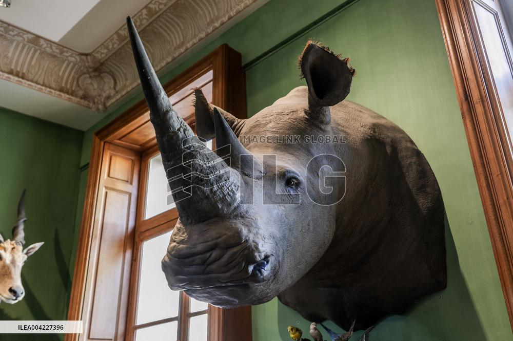 Opening Johnny Depp X Deyrolle In Paris