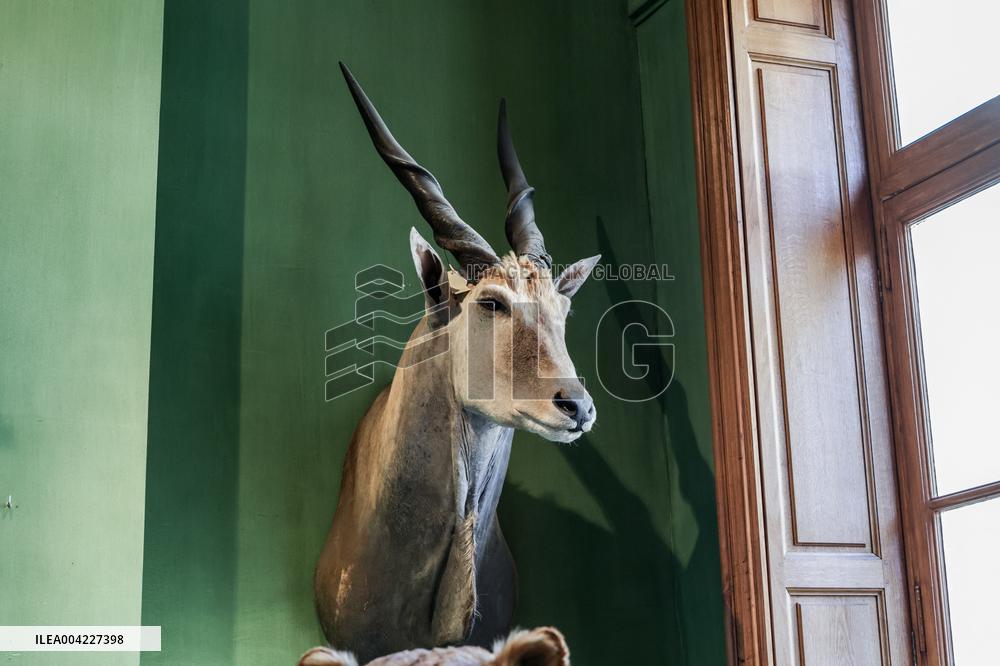 Opening Johnny Depp X Deyrolle In Paris