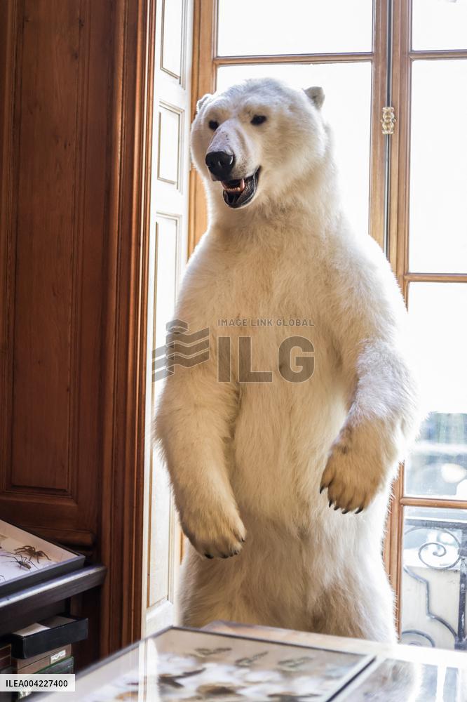 Opening Johnny Depp X Deyrolle In Paris