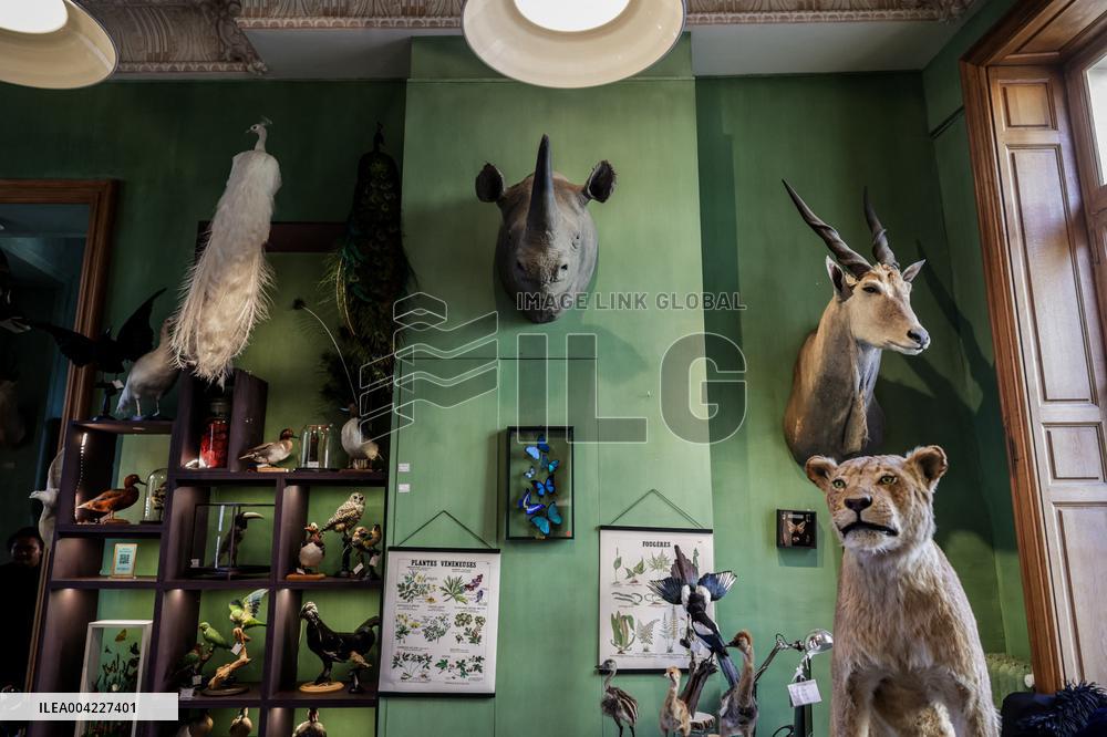 Opening Johnny Depp X Deyrolle In Paris