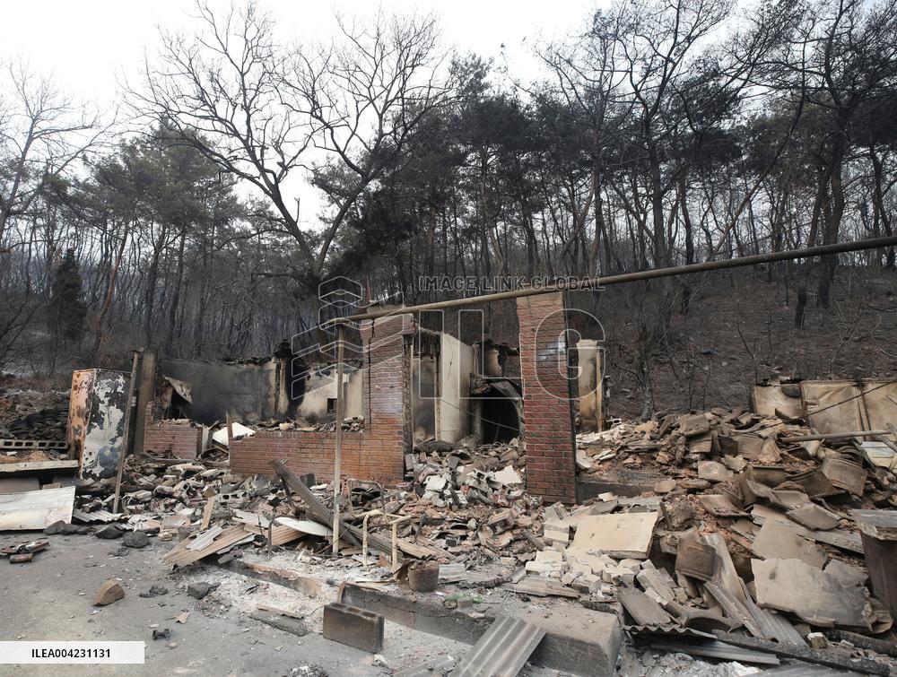 South Korea Wildfires Deathtoll