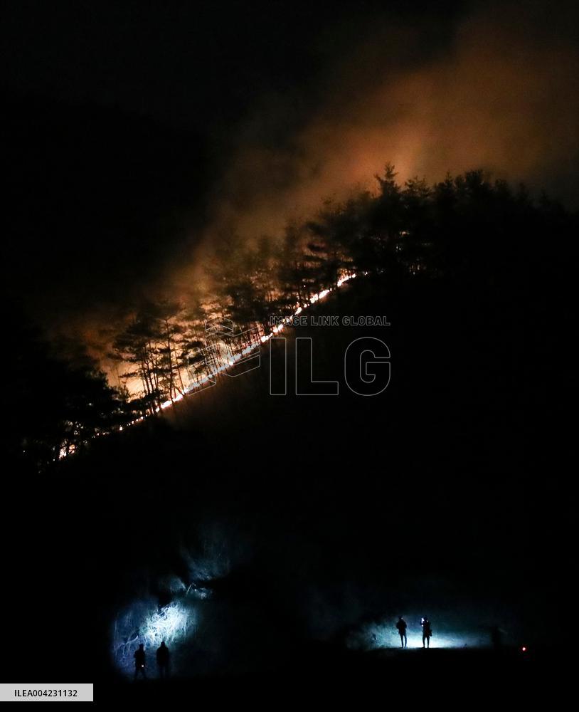 South Korea Wildfires Deathtoll