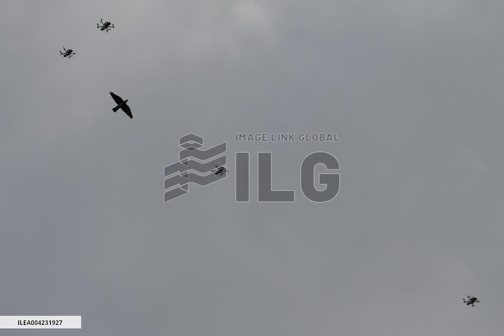 Drone Swarm And Bird Illustrations - France