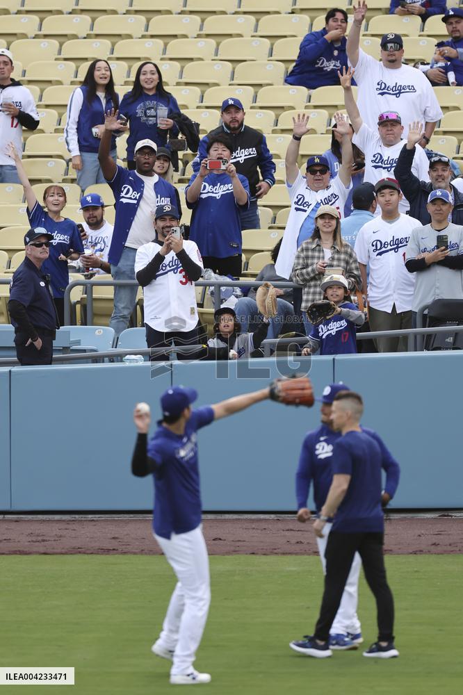 Baseball:Shohei Ohtani