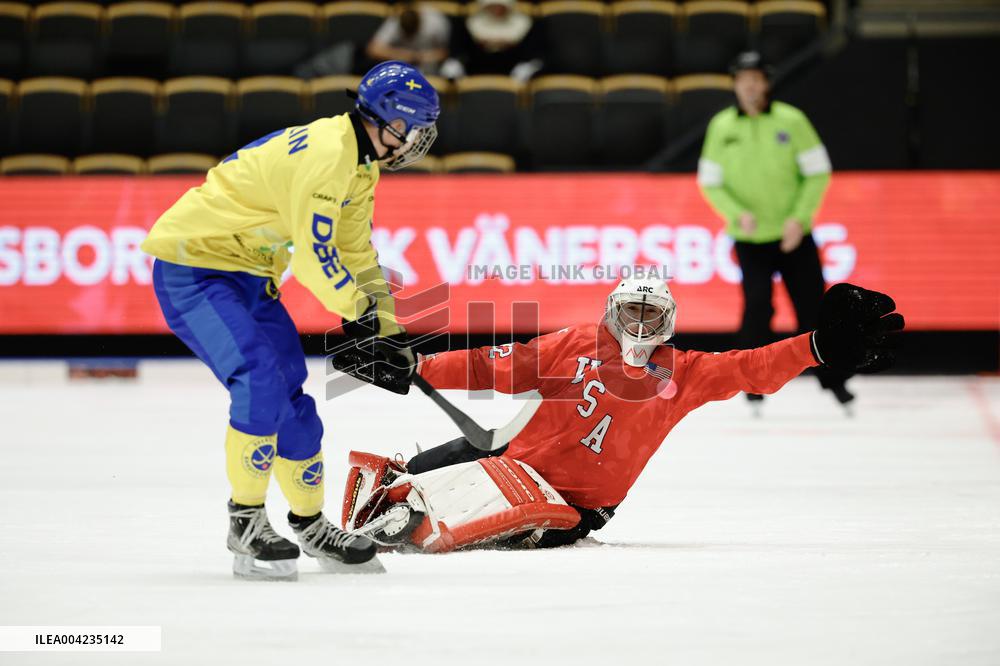 BANDY WORLD CHAMPIONSHIP 2025 SEMIFINAL SWEDEN - USA