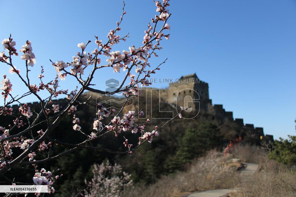 Firefighters Patrol Jinshanling Great Wall Scenic Area in  Cheng