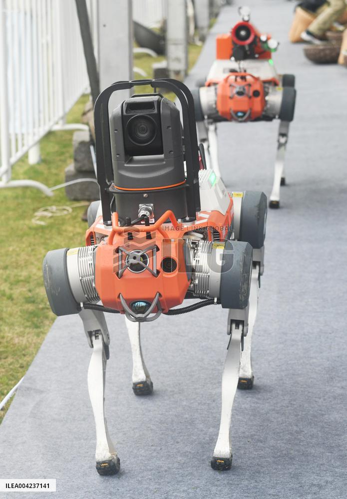 Fire Fighting Intelligent Robot Dog