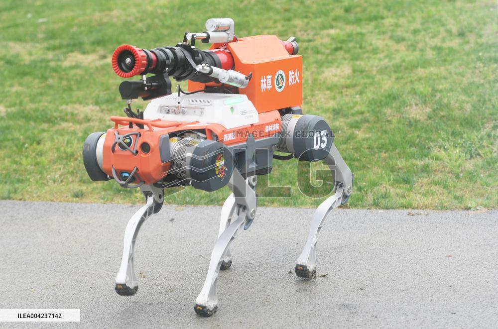 Fire Fighting Intelligent Robot Dog