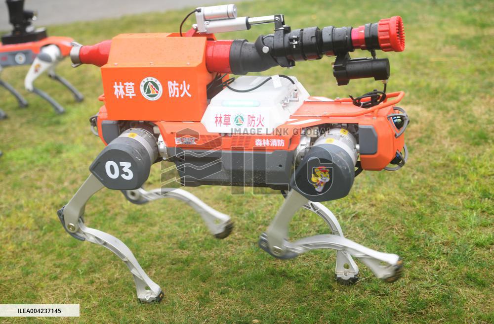 Fire Fighting Intelligent Robot Dog