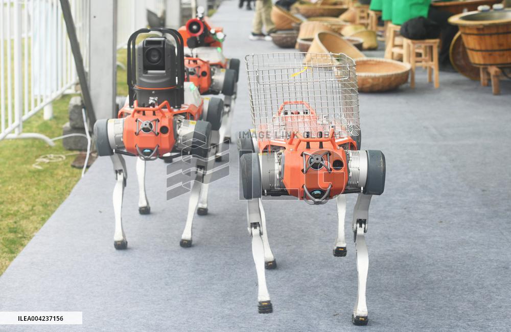 Fire Fighting Intelligent Robot Dog