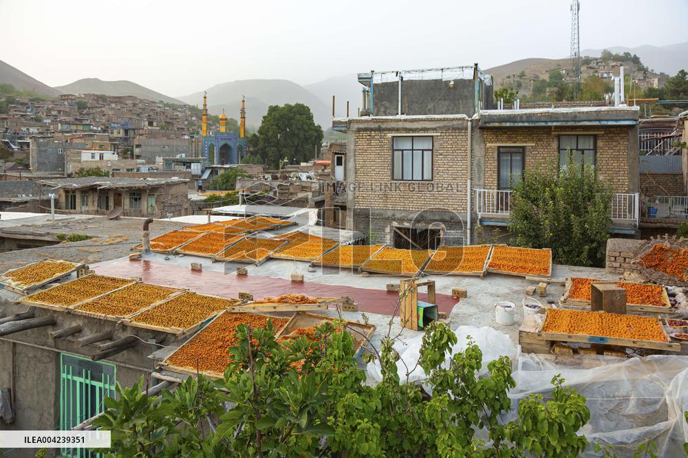 Golden Rooftops - Iran