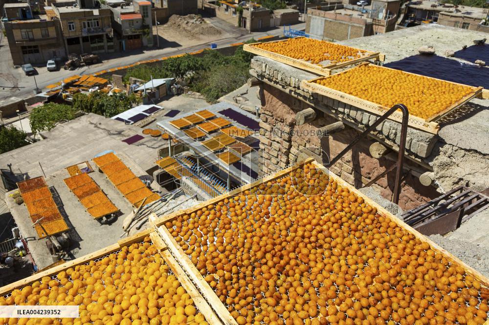 Golden Rooftops - Iran