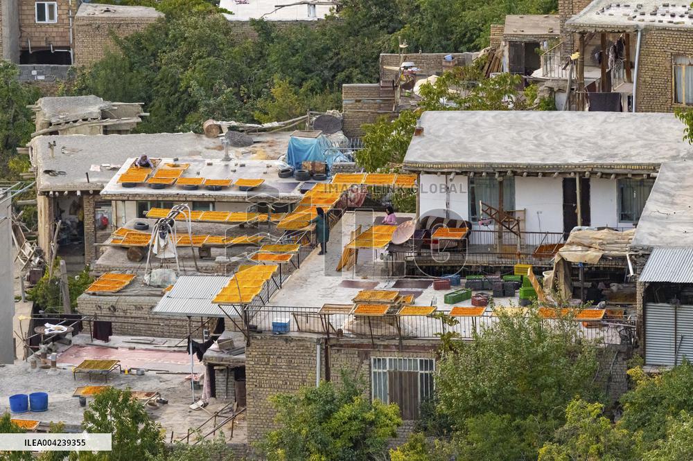Golden Rooftops - Iran