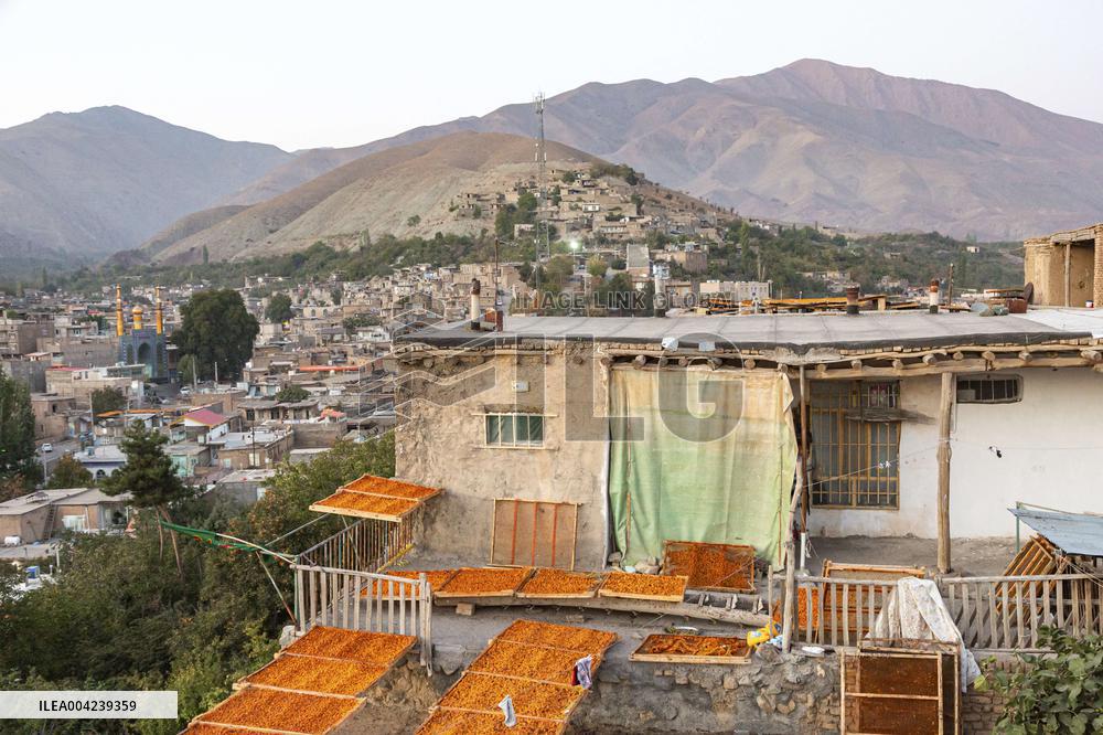 Golden Rooftops - Iran