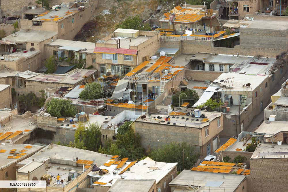 Golden Rooftops - Iran